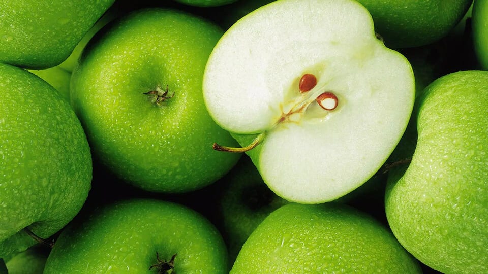 Hande Ercel Weight Loss Diet